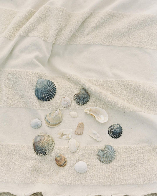 Dunes beach towel styled with seashells