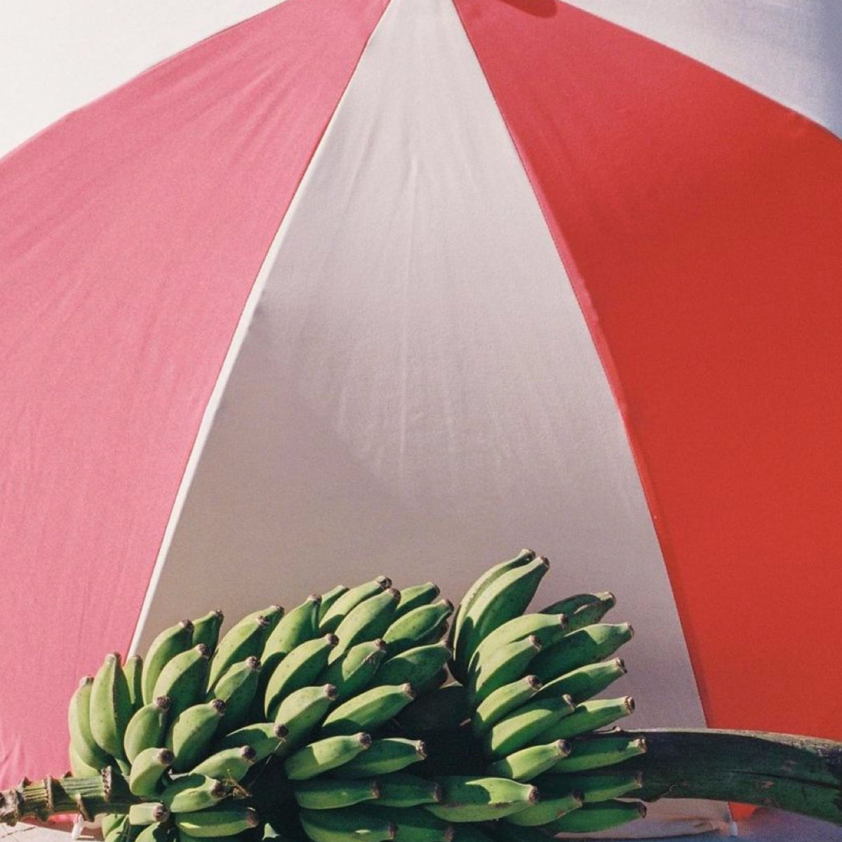 Rio Splice Light Beach Umbrella